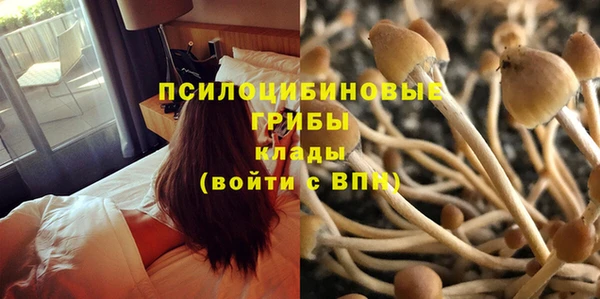 прущая мука Аркадак
